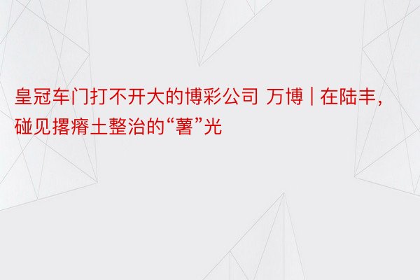 皇冠车门打不开大的博彩公司 万博 | 在陆丰，碰见撂瘠土整治的“薯”光