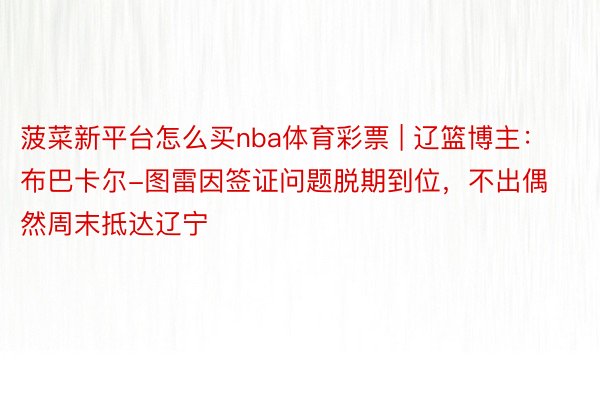 菠菜新平台怎么买nba体育彩票 | 辽篮博主：布巴卡尔-图雷因签证问题脱期到位，不出偶然周末抵达辽宁